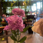 ヒメ日記 2025/06/16 11:19 投稿 ひまり ハピネス東京