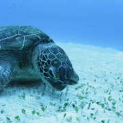 ヒメ日記 2025/07/16 18:38 投稿 ひまり ハピネス東京