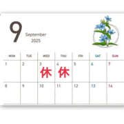 ヒメ日記 2025/08/30 05:07 投稿 ひまり ハピネス東京