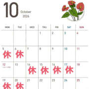 ヒメ日記 2025/09/23 05:07 投稿 ひまり ハピネス東京