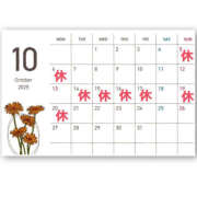 ヒメ日記 2025/09/24 18:27 投稿 ひまり ハピネス東京