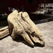 ヒメ日記 2025/10/17 05:48 投稿 ひまり ハピネス東京