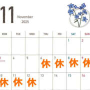 ヒメ日記 2025/10/22 18:27 投稿 ひまり ハピネス東京