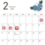 ひまり 2月のスケジュール解禁🧚‍♀️ ハピネス東京