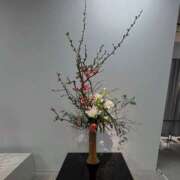 ヒメ日記 2026/02/18 14:17 投稿 ひまり ハピネス東京