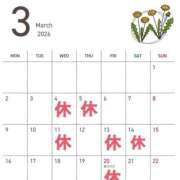 ヒメ日記 2026/02/27 16:57 投稿 ひまり ハピネス東京