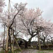 ヒメ日記 2026/04/02 18:07 投稿 ひまり ハピネス東京