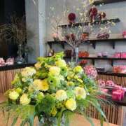 ヒメ日記 2026/04/15 17:07 投稿 ひまり ハピネス東京