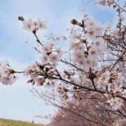 ヒメ日記 2025/03/27 10:28 投稿 夏目 いおり マーベリック横浜