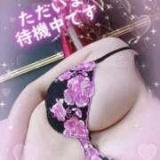 ヒメ日記 2025/04/26 12:06 投稿 ぼたん 丸妻 横浜本店