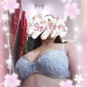 ヒメ日記 2026/02/15 09:30 投稿 ぼたん 丸妻 横浜本店