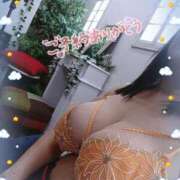 ヒメ日記 2026/02/23 09:36 投稿 ぼたん 丸妻 横浜本店