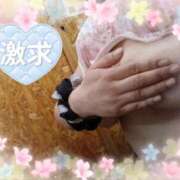 ヒメ日記 2026/07/19 13:02 投稿 ぼたん 丸妻 横浜本店