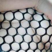 ヒメ日記 2025/03/10 09:29 投稿 おと 奥様鉄道69 岡山店