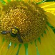 ヒメ日記 2025/07/29 12:02 投稿 ひかる 11チャンネル