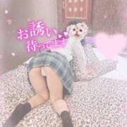 ヒメ日記 2025/04/06 08:09 投稿 山崎れみ 池袋パラダイス