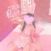 ヒメ日記 2026/04/03 07:39 投稿 山崎れみ 池袋パラダイス