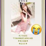 ヒメ日記 2025/04/01 11:33 投稿 ♡ホノカ MEGA PALACE(メガパレス）