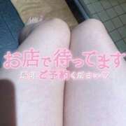 ヒメ日記 2025/04/01 19:36 投稿 ♡ホノカ MEGA PALACE(メガパレス）