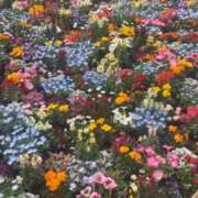 ヒメ日記 2026/05/04 21:23 投稿 ♡ホノカ MEGA PALACE(メガパレス）