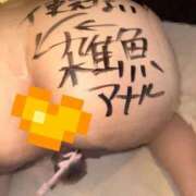 ヒメ日記 2025/09/22 01:23 投稿 美香 痴女@女王様