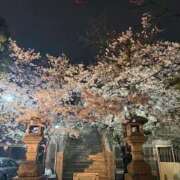 ヒメ日記 2026/03/31 01:33 投稿 美香 痴女@女王様