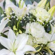 ヒメ日記 2025/04/23 11:28 投稿 希子 ぽっちゃり熟女 ～バカラ～