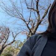 ヒメ日記 2026/03/21 13:28 投稿 希子 ぽっちゃり熟女 ～バカラ～