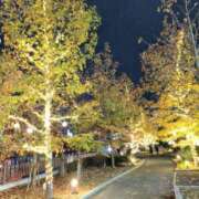 ヒメ日記 2025/11/13 18:01 投稿 ももこ 奥様電車