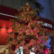 ヒメ日記 2025/12/25 08:45 投稿 ももこ 奥様電車