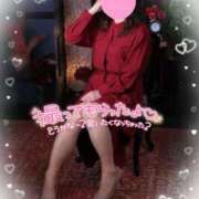 ヒメ日記 2025/12/26 08:07 投稿 ももこ 奥様電車