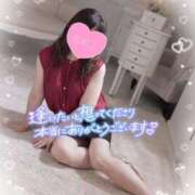 ヒメ日記 2025/12/28 11:20 投稿 ももこ 奥様電車