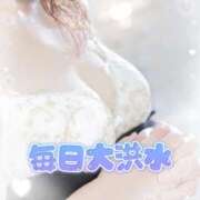 ヒメ日記 2025/12/28 17:45 投稿 ももこ 奥様電車