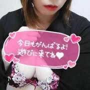 れん ぐっどもーにん♡ 千葉人妻花壇