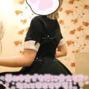 ヒメ日記 2025/03/28 20:30 投稿 めい イエスグループ熊本　Kawaii（カワイイ）