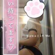 ヒメ日記 2025/03/31 08:01 投稿 めい イエスグループ熊本　Kawaii（カワイイ）