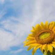 ヒメ日記 2026/02/06 18:02 投稿 めい イエスグループ熊本　Kawaii（カワイイ）