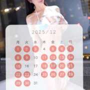 ヒメ日記 2025/11/03 09:49 投稿 翼 夕月