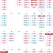 ヒメ日記 2025/11/08 12:39 投稿 翼 夕月