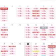 ヒメ日記 2025/11/20 09:24 投稿 翼 夕月