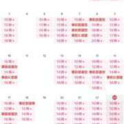 ヒメ日記 2025/11/23 09:37 投稿 翼 夕月