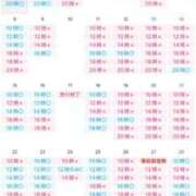 ヒメ日記 2025/11/29 09:29 投稿 翼 夕月