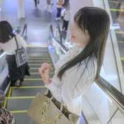 ヒメ日記 2026/03/03 06:29 投稿 翼 夕月