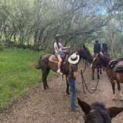 ヒメ日記 2026/03/12 06:29 投稿 翼 夕月