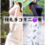 ヒメ日記 2026/04/08 19:29 投稿 翼 夕月