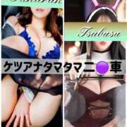 ヒメ日記 2026/04/09 06:39 投稿 翼 夕月