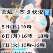 ヒメ日記 2026/07/02 07:49 投稿 翼 夕月