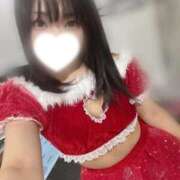 ヒメ日記 2025/12/11 12:31 投稿 むぎ エデン