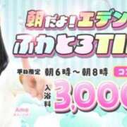 ヒメ日記 2026/09/11 05:51 投稿 むぎ エデン