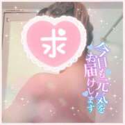 ヒメ日記 2025/11/07 10:33 投稿 みるく 西川口淑女館